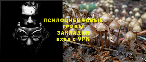 спайс Абдулино